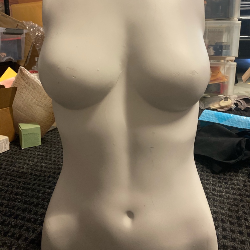 Female torso mannequin